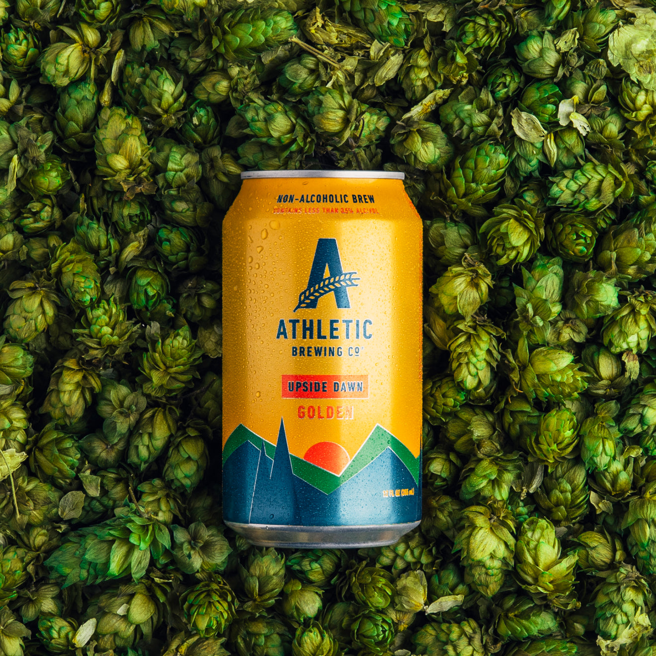 upside dawn in pile of hops